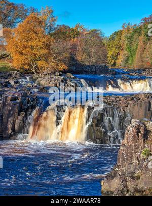 Vue diurne dans des conditions ensoleillées en automne de Low Force Waterfall à Teesdale près de Bowlees, comté de Durham. Angleterre, Royaume-Uni Banque D'Images