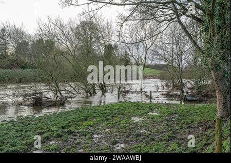 Champ boueux après l'inondation de la rivière Teviot à la suite de la tempête Gerrit en décembre 2023, Scottish Borders, Royaume-Uni Banque D'Images