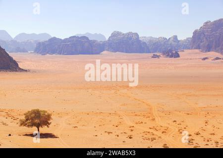 Un arbre solitaire dans le paysage aride du désert de Wadi Rum, Jordanie, Moyen-Orient. Banque D'Images