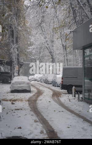 Voitures couvertes de neige stationnées dans une rue de la ville en hiver Banque D'Images