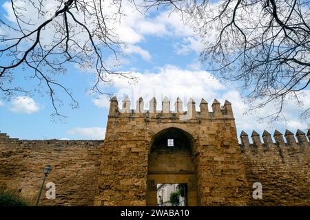 Almodóvar porte du mur d'enceinte de Córdoba, Andalousie, Espagne avec des arbres décoratifs Banque D'Images