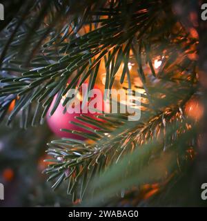 gros plan d'une boule rouge suspendue à une branche de sapin de noël Banque D'Images