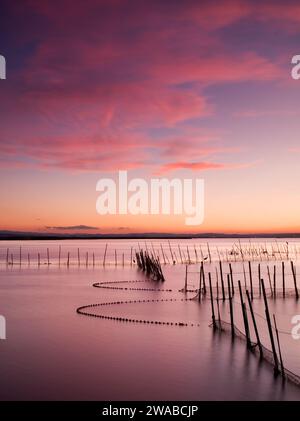 Photo verticale d'un coucher de soleil dans le parc naturel de l'Albufera à Valence avec les filets de pêche et un beau ciel magenta Banque D'Images