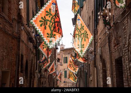 Drapeau contrade du quartier de Selva-Rhino accroché dans une rue du centre-ville de Sienne, Italie Banque D'Images