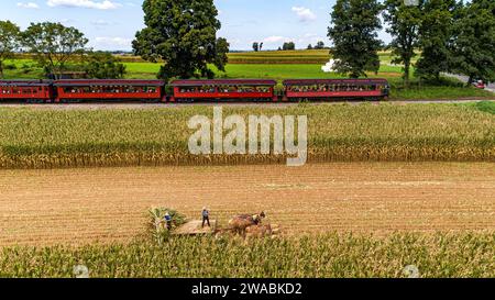 Ronks, Pennsylvanie, États-Unis, 11 septembre 2021 - vue aérienne de six chevaux tirant une machine de récolte de maïs Amish, alors que le train de passagers à vapeur se déplace Banque D'Images