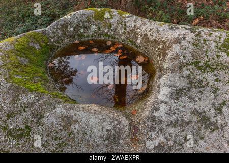 Rock celtique, rock avec des tasses sur le sentier rocheux. Dieffenthal, Bas-Rhin, Alsace, Grand est, France, Europe. Banque D'Images