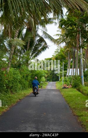 Une personne sur une moto emprunte une route asphaltée pittoresque en Asie. Bali, Indonésie - 12.24.2022 Banque D'Images