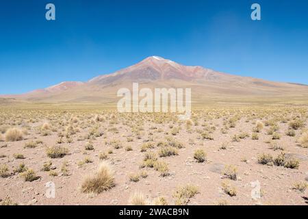 Reserva de Fauna y Flora Eduardo Avaroa, Bolivie Banque D'Images