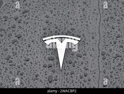 02 janvier 2024, Brandenburg, Grünheide : des gouttes de pluie peuvent être vues sur la voiture avec le logo Tesla. Photo : Patrick Pleul/dpa Banque D'Images