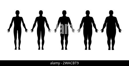 Illustration vectorielle de l'indice de masse corporelle de l'insuffisance pondérale à l'obésité extrême. Silhouettes de femmes avec différents degrés d'obésité. Concept de perte de poids. S Illustration de Vecteur