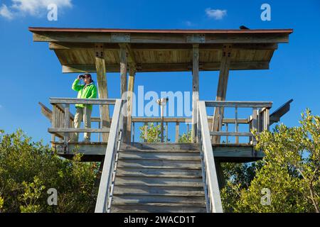 Tour d'observation le long du Allan Cruickshank Memorial Trail, Merritt Island National Wildlife refuge, Floride Banque D'Images