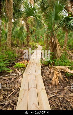 Promenade White Trail, zone de conservation de Pine Island, Floride Banque D'Images