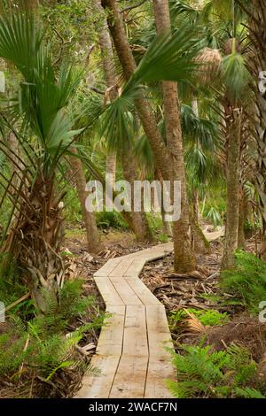 Promenade White Trail, zone de conservation de Pine Island, Floride Banque D'Images