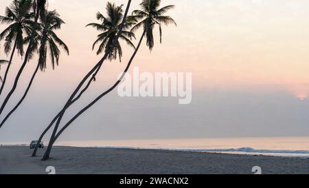 Beaucoup de cocotiers à la magnifique plage al haffa à salalah au lever du soleil, Oman, officiellement le Sultanat d'Oman. Banque D'Images