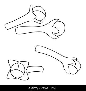 Clous de girofle séchés, épice du bourgeon floral de Syzygium aromaticum, isolé sur fond blanc. dessin animé aux épices de girofle. ingrédients alimentaires. Illustration vectorielle Illustration de Vecteur
