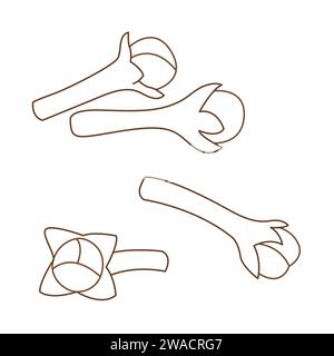 Clous de girofle séchés, épice du bourgeon floral de Syzygium aromaticum, isolé sur fond blanc. dessin animé aux épices de girofle. ingrédients alimentaires. Illustration vectorielle Illustration de Vecteur