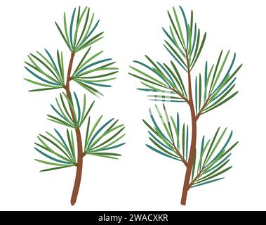 Noël mélèze, pin, branche d'épicéa, arbre à feuilles persistantes, sapin, icône de vecteur, plantes d'hiver, bois du nouvel an, décoration de vacances. Illustration dessinée à la main. Illustration de Vecteur