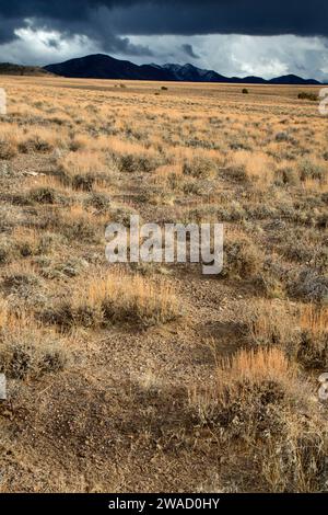 Ione Valley, Southern Nevada District Bureau of Land Management, Nevada Banque D'Images