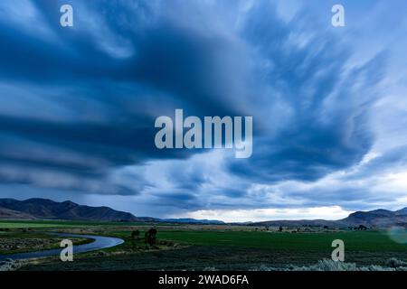 Nuages de tempête Arcus cumulonimbus roulant sur les terres agricoles Banque D'Images