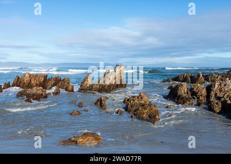 Afrique du Sud, Hermanus, côte rocheuse et Kammabaai Beach au beau jour Banque D'Images