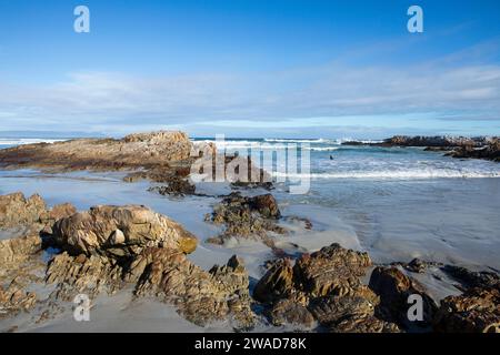 Afrique du Sud, Hermanus, côte rocheuse et Kammabaai Beach au beau jour Banque D'Images