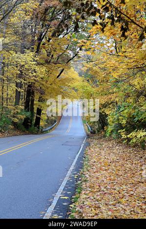 Wayne, Illinois, États-Unis : épissage de route de campagne à travers une zone boisée montrant ses couleurs. Banque D'Images