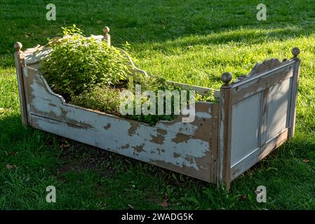 Vieux lit en bois comme lit surélevé, jardin d'herbes aromatiques, herbes et légumes cultivés en elle, jardin du château de Friedberg, parc du château, vieille ville, Friedberg Banque D'Images