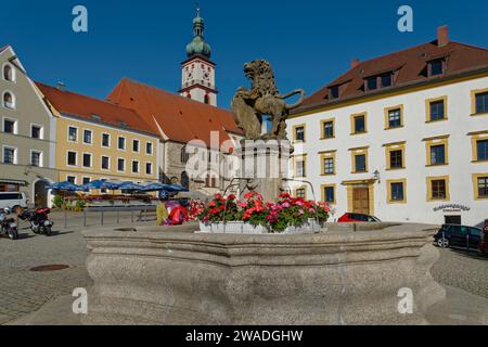 Fontaine avec statue de lion et fleurs rouges au premier plan, bâtiments historiques et ciel bleu derrière, Luitpoldplatz, St. Église paroissiale de Marien Banque D'Images