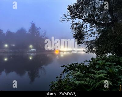 Vue panoramique sur le lac kodaikanal après coucher de soleil avec couverture de brouillard. Mise au point définie sur les lames de premier plan. Banque D'Images