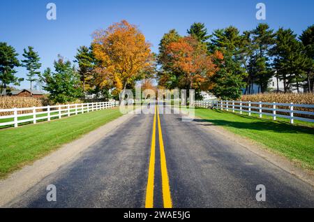 Garland dans la forêt nationale d'Allegheny, comté de Warren, dans le nord-ouest de la Pennsylvanie Banque D'Images