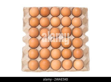 La vue de dessus des œufs dans un carton ouvert ou un plateau de papier est isolée sur fond blanc avec un chemin de découpe. Banque D'Images