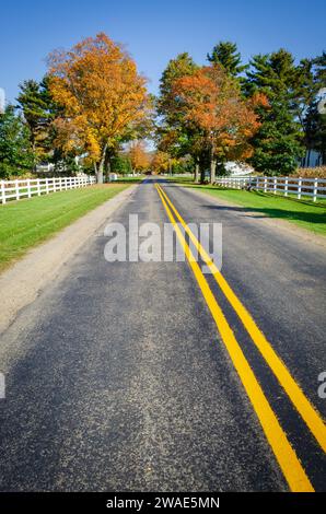 Garland dans la forêt nationale d'Allegheny, comté de Warren, dans le nord-ouest de la Pennsylvanie Banque D'Images