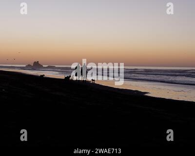 Cavaliers et chiens en silhouette sur une plage au coucher du soleil avec un éperon rocheux dans la ville d'Essaouira, Maroc, le 3 janvier 2024 Banque D'Images