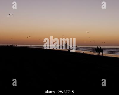 Cavaliers et chiens en silhouette sur une plage au coucher du soleil avec un éperon rocheux dans la ville d'Essaouira, Maroc, le 3 janvier 2024 Banque D'Images