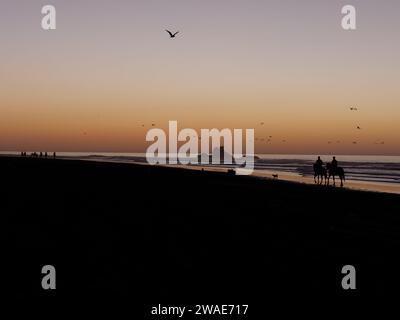 Cavaliers et chiens en silhouette sur une plage au coucher du soleil avec un éperon rocheux dans la ville d'Essaouira, Maroc, le 3 janvier 2024 Banque D'Images