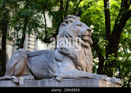 Fortress est l'un des deux lions en marbre rose du Tennessee qui gardent la porte d'entrée de la bibliothèque publique de New York sur la Cinquième Avenue. Banque D'Images