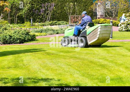 Un jardinier sur une tondeuse de tracteur industriel prend soin d'une pelouse verte par une journée ensoleillée claire, espace de copie. Banque D'Images