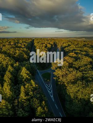 Une vue aérienne d'une route sinueuse traversant des forêts verdoyantes Banque D'Images