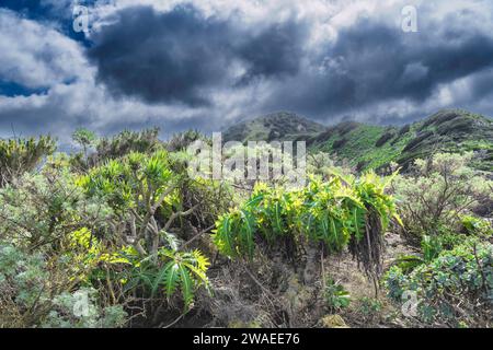 Des montagnes près de Masca, Tenerife, Espagne Banque D'Images