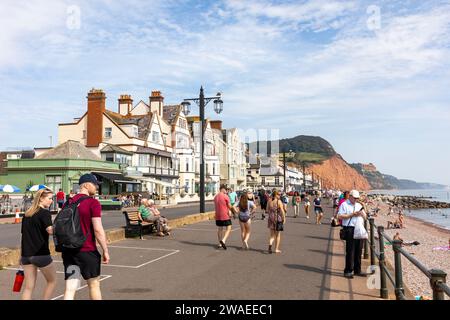 Centre-ville de Sidmouth, front de mer le long de l'esplanade et la côte jurassique de grès rouge, chaud septembre 2023 jour, Devon, Angleterre, Royaume-Uni Banque D'Images