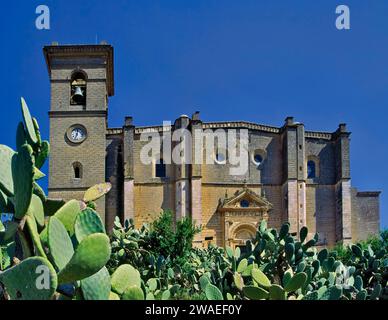 Colegiata de Santa Maria de la Asunción à Osuna, cactus de Barbarie, Andalousie, Espagne Banque D'Images