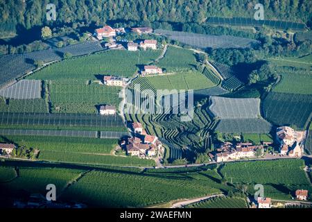 Vue aérienne d'un vignoble près de la petite ville de Kaltern depuis le point de vue Penegal au-dessus du col de Mendel. Banque D'Images