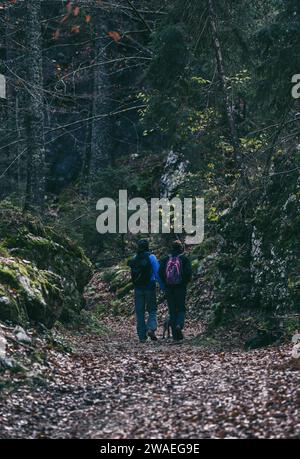 Jeune couple avec un chien en randonnée dans la forêt moody à la fin de l'automne Banque D'Images