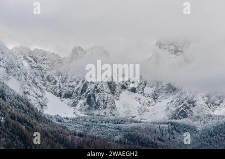 Paysage d'hiver avec des arbres couverts de neige sur la pente de pics de montagne rocheux enveloppés de brume et de nuages Banque D'Images