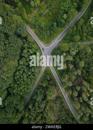 Vue de haut en bas d'un carrefour en forme de X entre la forêt verte en allemagne Banque D'Images