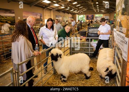 Royaume-Uni, Angleterre, Worcestershire, Malvern Wells, Royal 3 Counties Show, Valais mouton blacknose du troupeau de Sammia Shail de Birtmorton, Malvern en intérieur Banque D'Images