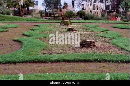 Les souches des palmiers emblématiques des jardins d'Abbey Park (jardins italiens) sur le front de mer de Torquay. Banque D'Images