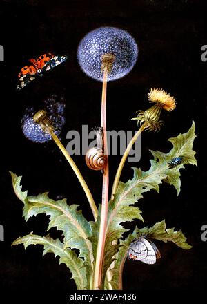 Barbara Regina Dietzsch - Un pissenlit avec un tigre papillon, un papillon, un escargot et une betterave. Banque D'Images