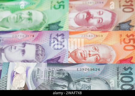 Barbadian Money - dollar un fond d'affaires Banque D'Images