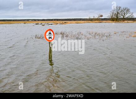 Genschmar, Allemagne. 04 janvier 2024. Les hautes eaux de la rivière frontière germano-polonaise Oder ont déjà inondé les prairies de l'avant-pays de l'Oder, la zone entre la rivière et la digue, dans la région de l'Oderbruch. Le niveau de la rivière Oder à Francfort (Oder) était d'environ quatre mètres à midi. Crédit : Patrick Pleul/dpa/Alamy Live News Banque D'Images